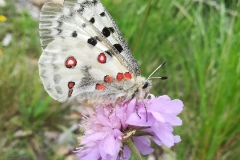 Gite les Clots Clément - nature