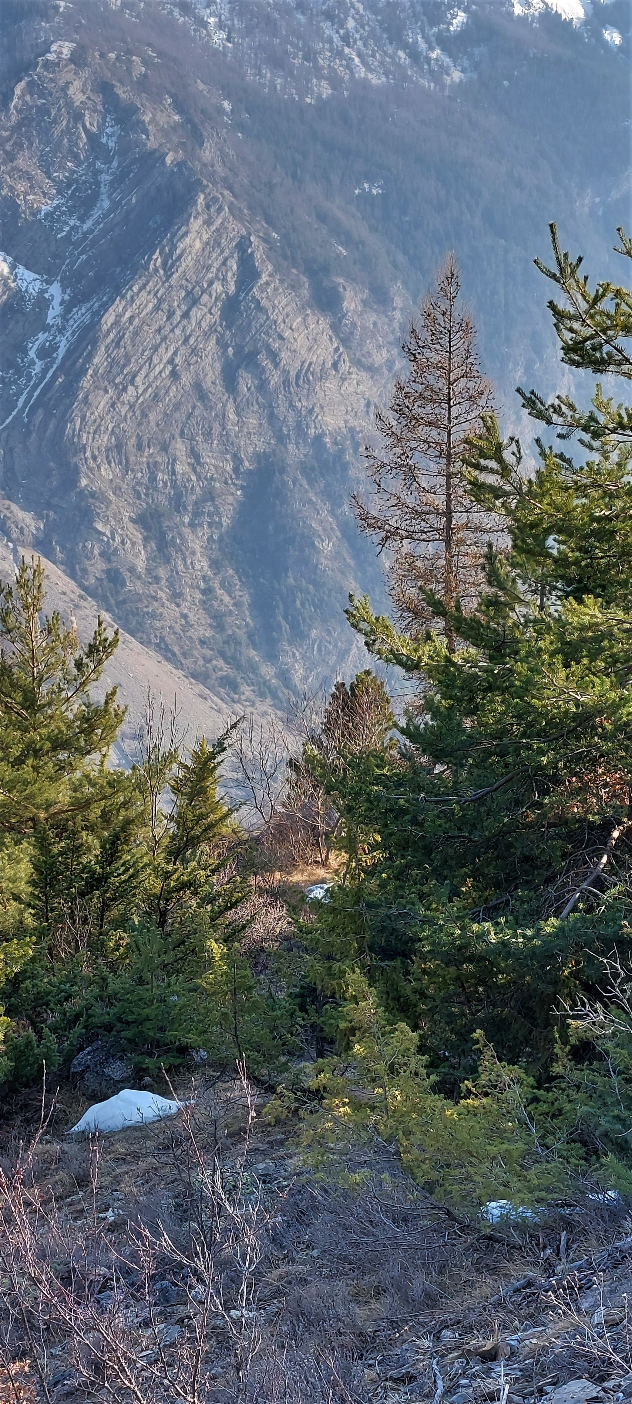 PLI COUCHE ST CLEMENT